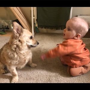 Meet your Posher, Peter